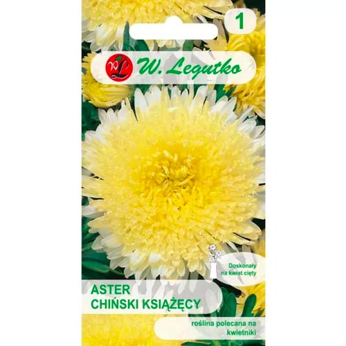 Aster gelb Legutko interface.art Bild 1 Aster gelb Legutko interface.image 1 interface.art 78513