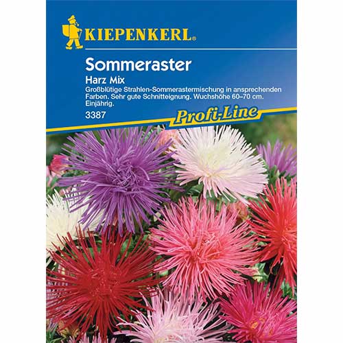 SOMMERASTER , HARZ MIX interface.art Bild 1 SOMMERASTER , HARZ MIX interface.image 1 interface.art 96571