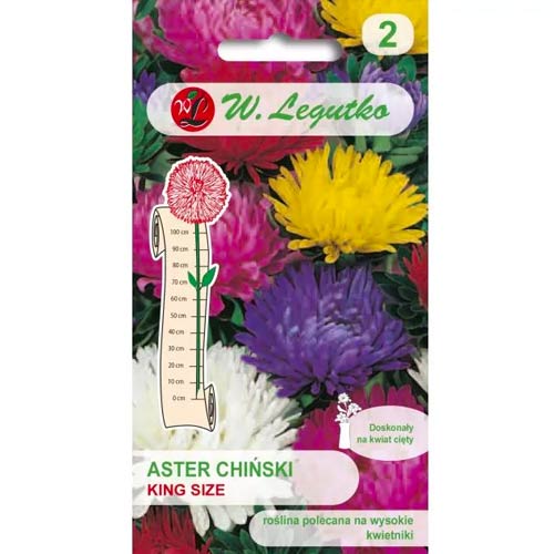 Aster King Size mischung Legutko interface.art Bild 1 Aster King Size mischung Legutko interface.image 1 interface.art 69560