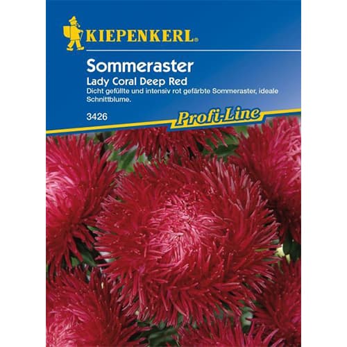 Sommeraster Lady Coral Deep Red interface.art Bild 1 Sommeraster Lady Coral Deep Red interface.image 1 interface.art 86313