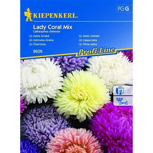 Sommeraster Lady Coral Mischung Kiepenkerl interface.art Bild 1 Sommeraster Lady Coral Mischung Kiepenkerl interface.image 1 interface.art 86241