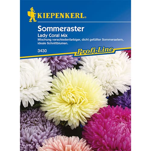 Sommeraster Lady Coral Mischung interface.art Bild 1 Sommeraster Lady Coral Mischung interface.image 1 interface.art 86312