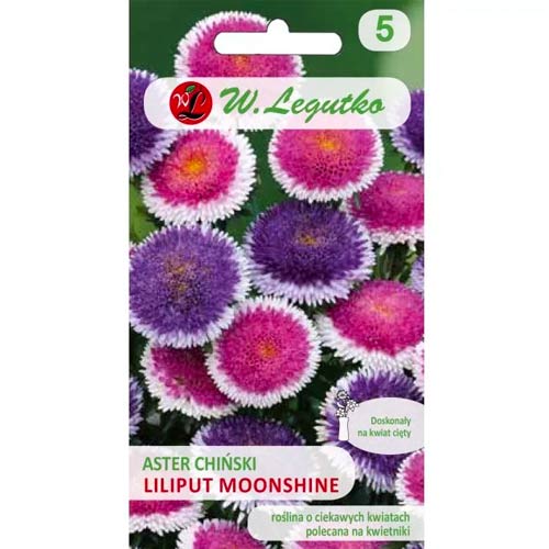 Aster Liliput Moonshine Legutko interface.art Bild 1 Aster Liliput Moonshine Legutko interface.image 1 interface.art 69563