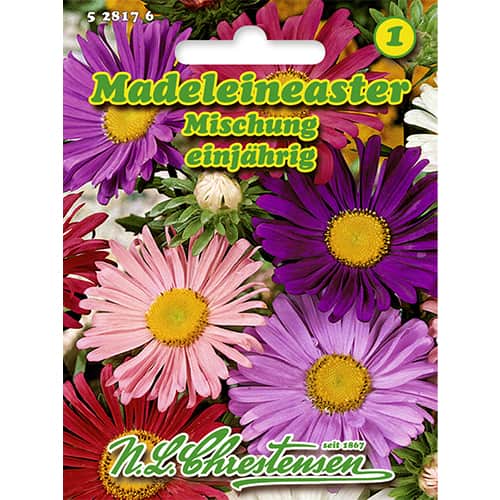 Madeleineaster Mischung interface.art Bild 1 Madeleineaster Mischung interface.image 1 interface.art 86132