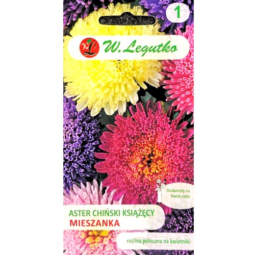 Aster mischung Legutko interface.art Bild 1 Aster mischung Legutko interface.image 1 interface.art 78519