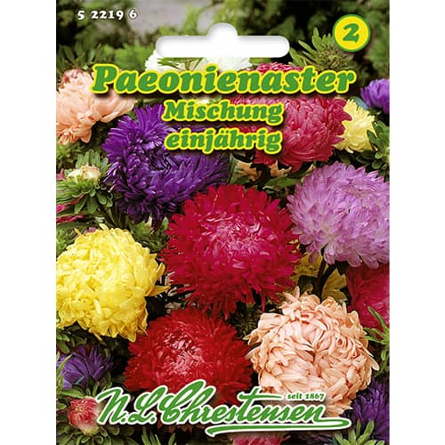 Peonienaster Mischung interface.art Bild 1 Peonienaster Mischung interface.image 1 interface.art 86135