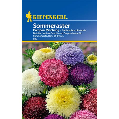 Sommeraster Pompon Mischung interface.art Bild 1 Sommeraster Pompon Mischung interface.image 1 interface.art 86315