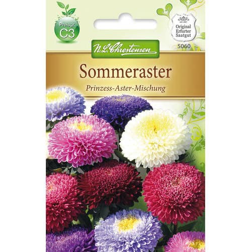Sommeraster Prinzess- Aster interface.art Bild 1 Sommeraster Prinzess- Aster interface.image 1 interface.art 78894