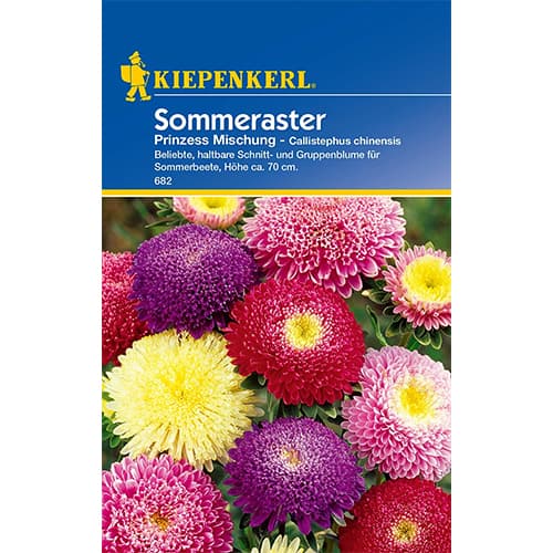 Sommeraster Prinzess Mischung interface.art Bild 1 Sommeraster Prinzess Mischung interface.image 1 interface.art 86316