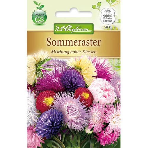 Sommeraster Mischung hoher Klassen interface.art Bild 1 Sommeraster Mischung hoher Klassen interface.image 1 interface.art 78891