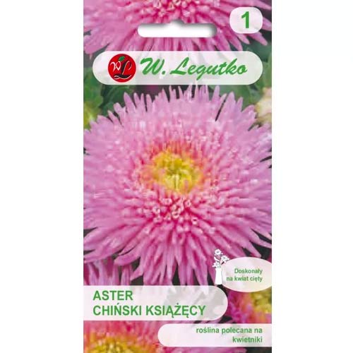 Aster rosa Legutko interface.art Bild 1 Aster rosa Legutko interface.image 1 interface.art 78515