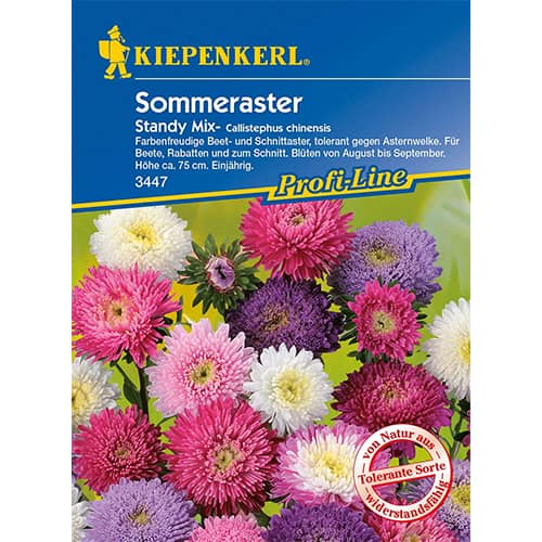 Sommeraster Standy interface.art Bild 1 Sommeraster Standy interface.image 1 interface.art 96573