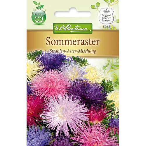 Sommeraster Strahlen - Aster interface.art Bild 1 Sommeraster Strahlen - Aster interface.image 1 interface.art 78895