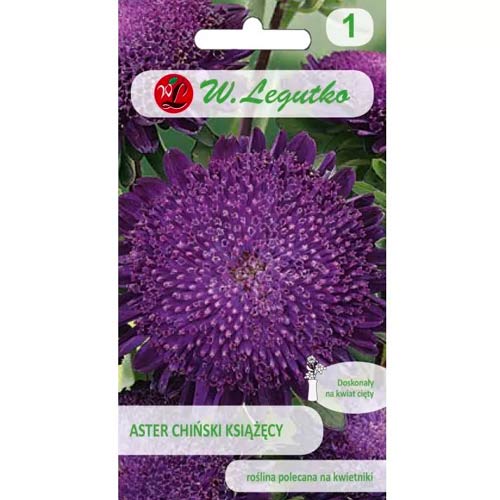 Aster violett Legutko interface.art Bild 1 Aster violett Legutko interface.image 1 interface.art 78518