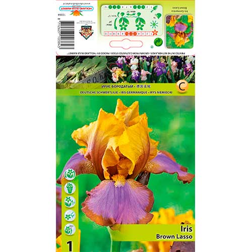 Bartiris (Iris) Brown Lasso interface.art Bild 1 Bartiris (Iris) Brown Lasso interface.image 1 interface.art 76285