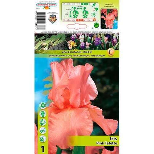 Bartiris (Iris) Pink Tafette interface.art Bild 1 Bartiris (Iris) Pink Tafette interface.image 1 interface.art 76291