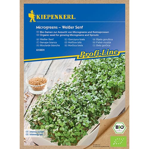 BIO Microgreens Weißer Senf interface.art Bild 1 BIO Microgreens Weißer Senf interface.image 1 interface.art 87775