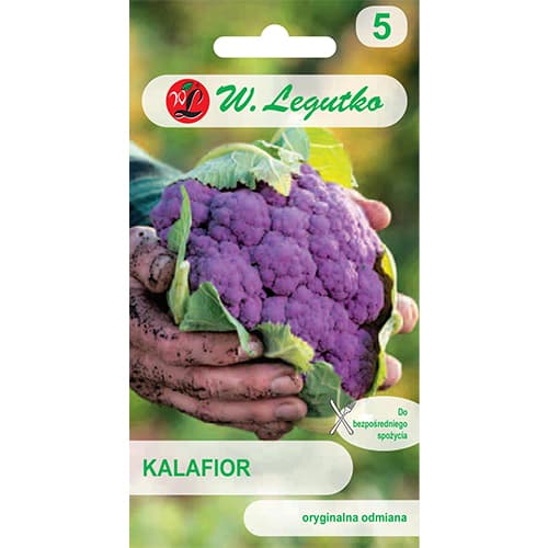 Blumenkohl Di Sicilia violetto interface.art Bild 1 Blumenkohl Di Sicilia violetto interface.image 1 interface.art 69476