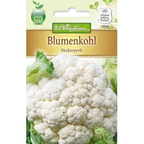Blumenkohl Neckarperle interface.image 1 interface.art 78711