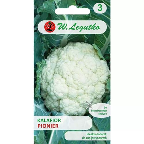 Blumenkohl Pionier interface.art Bild 1 Blumenkohl Pionier interface.image 1 interface.art 78469