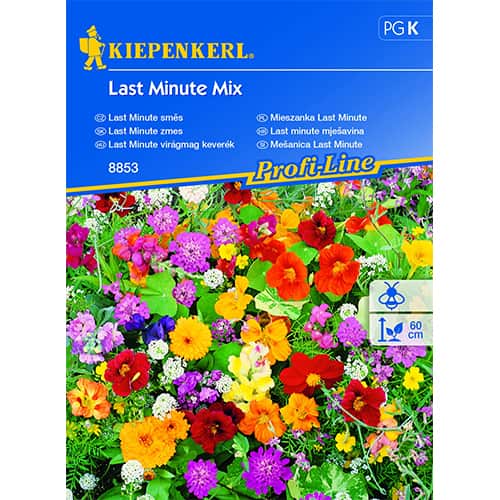 Blumenmischung Last Minute Mix interface.art Bild 1 Blumenmischung Last Minute Mix interface.image 1 interface.art 87744