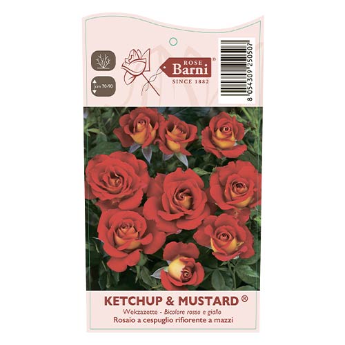 Beetrose Ketchup & Mustard®, C5 interface.art Bild 4 Beetrose Ketchup & Mustard®, C5 interface.image 4 interface.art 5512