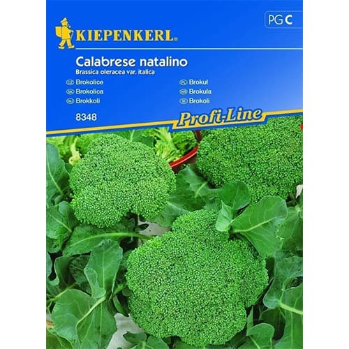 Brokkoli Calabrese natalino Kiepenkerl interface.art Bild 1 Brokkoli Calabrese natalino Kiepenkerl interface.image 1 interface.art 86396