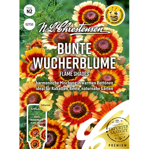 Bunte Wucherblume Flame Shades interface.art Bild 1 Bunte Wucherblume Flame Shades interface.image 1 interface.art 87802