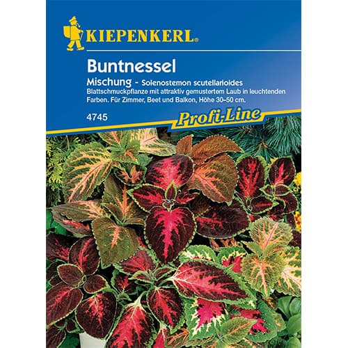 Buntnessel Mischung Kiepenkerl interface.art Bild 1 Buntnessel Mischung Kiepenkerl interface.image 1 interface.art 50058