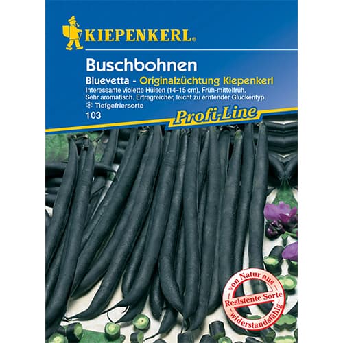 Buschbohne Bluevetta interface.art Bild 1 Buschbohne Bluevetta interface.image 1 interface.art 77467