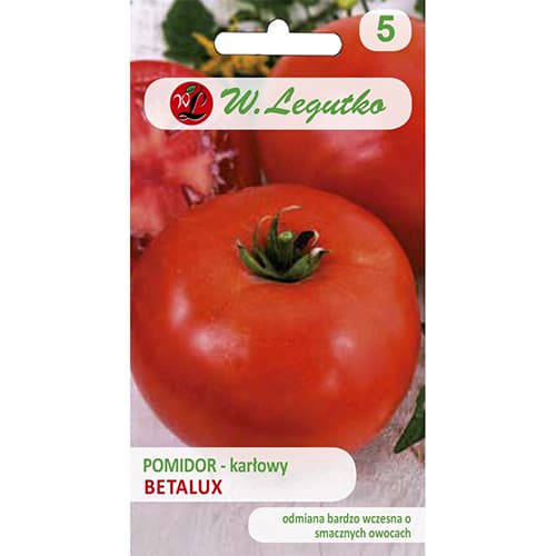 Buschtomate Betalux interface.art Bild 1 Buschtomate Betalux interface.image 1 interface.art 69515