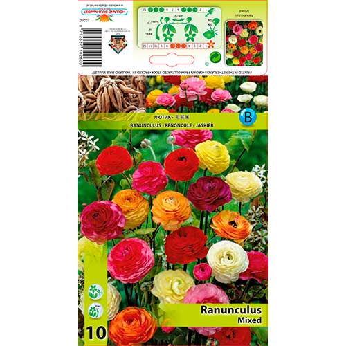 Butterblume, farbmischung interface.art Bild 1 Butterblume, farbmischung interface.image 1 interface.art 76355