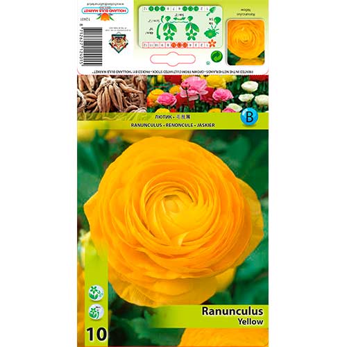 Butterblume gelb interface.art Bild 1 Butterblume gelb interface.image 1 interface.art 76361