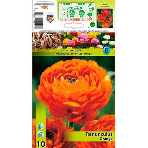 Butterblume orange interface.art Bild 1 Butterblume orange interface.image 1 interface.art 76357