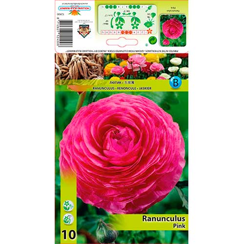 Butterblume rosa interface.art Bild 1 Butterblume rosa interface.image 1 interface.art 76358