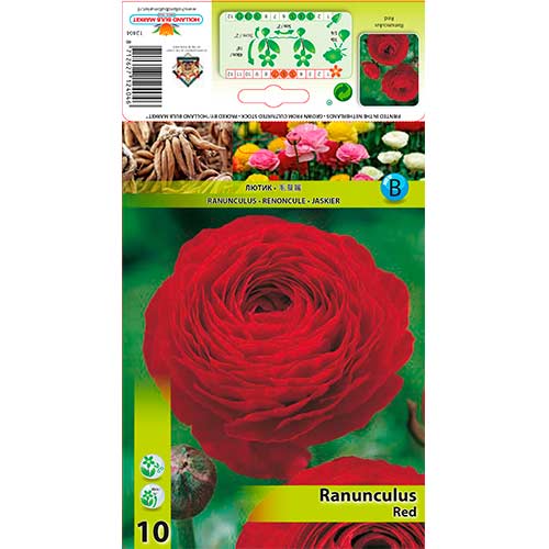 Butterblume rot interface.art Bild 1 Butterblume rot interface.image 1 interface.art 76359