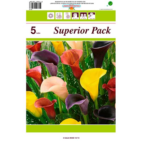 Calla, Farbmischung interface.art Bild 1 Calla, Farbmischung interface.image 1 interface.art 76396