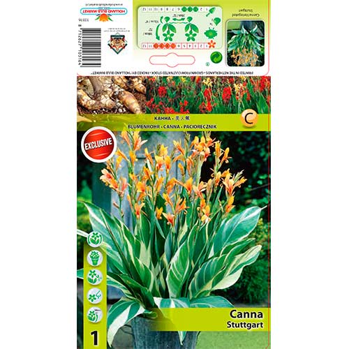 Canna Stuttgart interface.art Bild 1 Canna Stuttgart interface.image 1 interface.art 70479