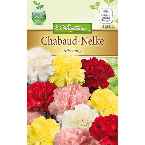 Chabaud - Nelke Mischung interface.art Bild 1 Chabaud - Nelke Mischung interface.image 1 interface.art 78909
