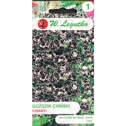 Chineser - Nelke Chianti Legutko interface.image 1 interface.art 69592