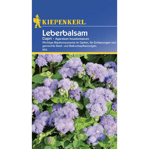 Chrysantheme Capri interface.image 1 interface.art 77393