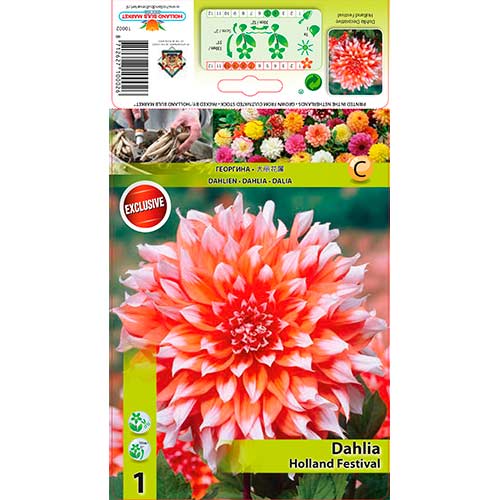 Dahlie Holland Festival interface.art Bild 1 Dahlie Holland Festival interface.image 1 interface.art 76581