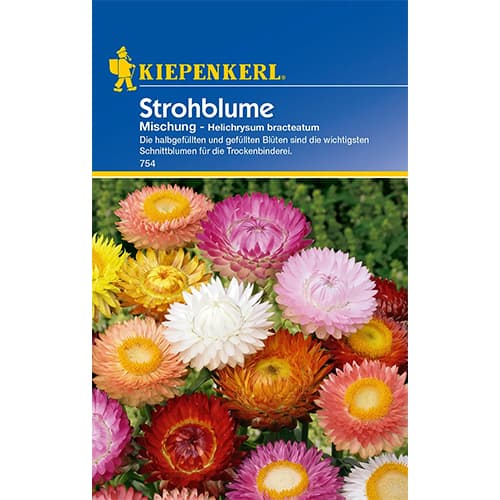 Strohblume Mischung Kiepenkerl interface.art Bild 1 Strohblume Mischung Kiepenkerl interface.image 1 interface.art 77408