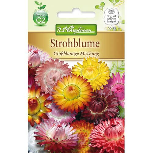 Strohblume Mischung interface.art Bild 1 Strohblume Mischung interface.image 1 interface.art 78978