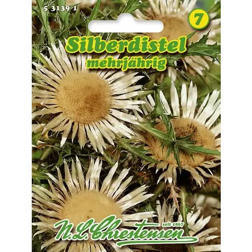 Silberdistel Chrestensen interface.image 1 interface.art 96408