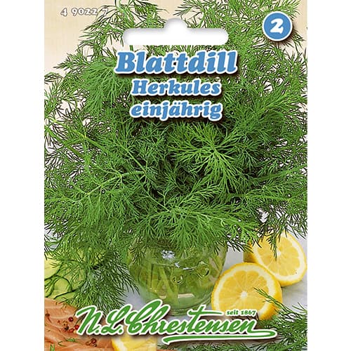 Blattdill Herkules interface.art Bild 1 Blattdill Herkules interface.image 1 interface.art 86000