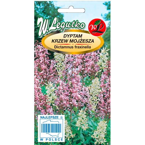 Diptam Moses Busch, mischung Legutko interface.image 1 interface.art 50092