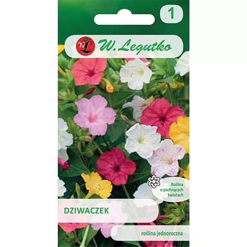 Duftende Wunderblume interface.art Bild 1 Duftende Wunderblume interface.image 1 interface.art 87857