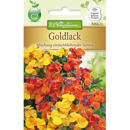 Goldlack einfachblühender Mischung interface.image 1 interface.art 78954