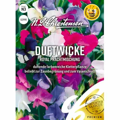 Duftwicke Royal Mix Chrestensen  interface.art Bild 1 Duftwicke Royal Mix Chrestensen  interface.image 1 interface.art 50029